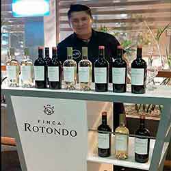 catalogo coctel de autor